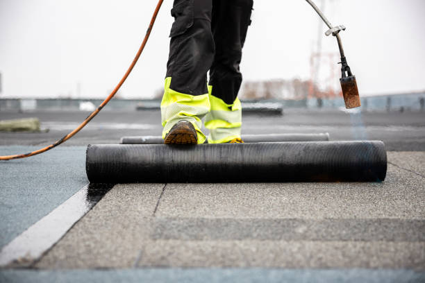 Best Roof Moss and Algae Removal  in Mont Alto, PA